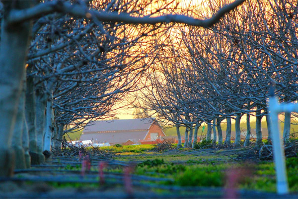 手机号测压网站