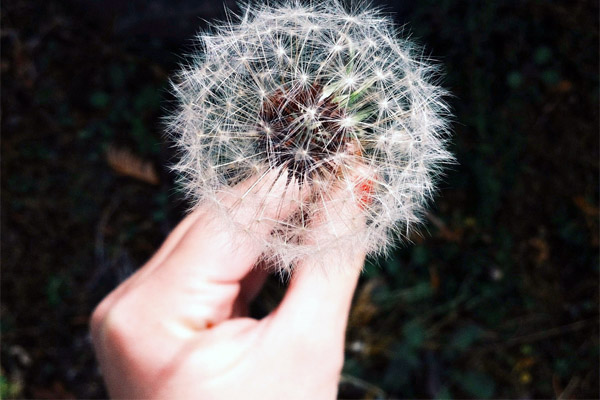 在线短信呼死你